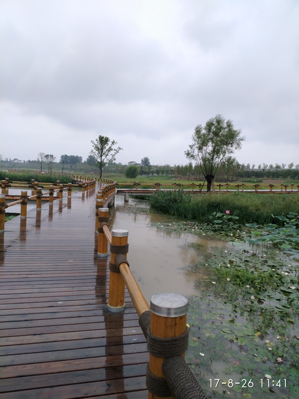 陕西汉中“一江两岸”湿地公园红雪松木栈道项目